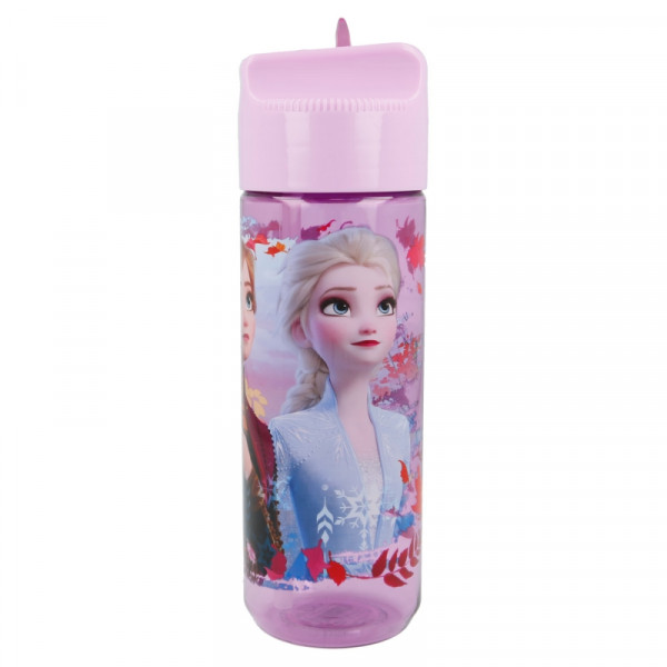 Plastična flaša 540ML STOR - Frozen 2 