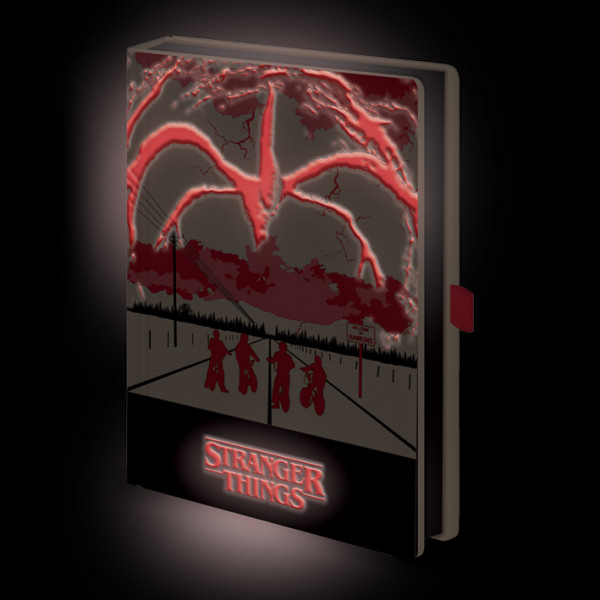 Notes STRANGER THINGS 