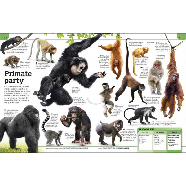 GENERAL KNOWLEDGE GENIUS 