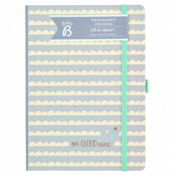 Dnevnik trudnoće BABY B 