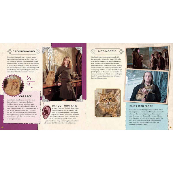 HARRY POTTER MAGICAL CREATURES 