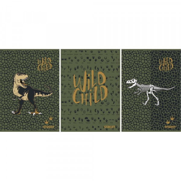 Sveska A5 na linije DINOSAURS 