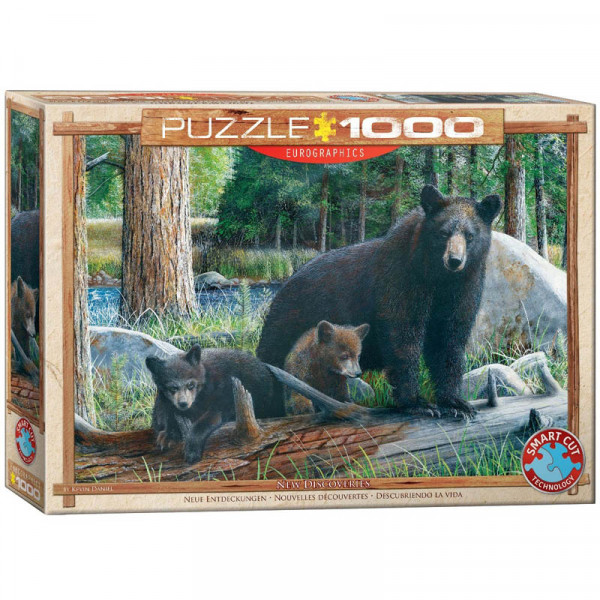 Puzzle NEW DISCOVERIES- 1000 delova 