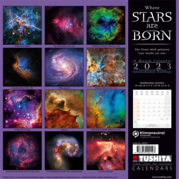 Zidni kalendar za 2023 - WHERE STARS ARE BORN 