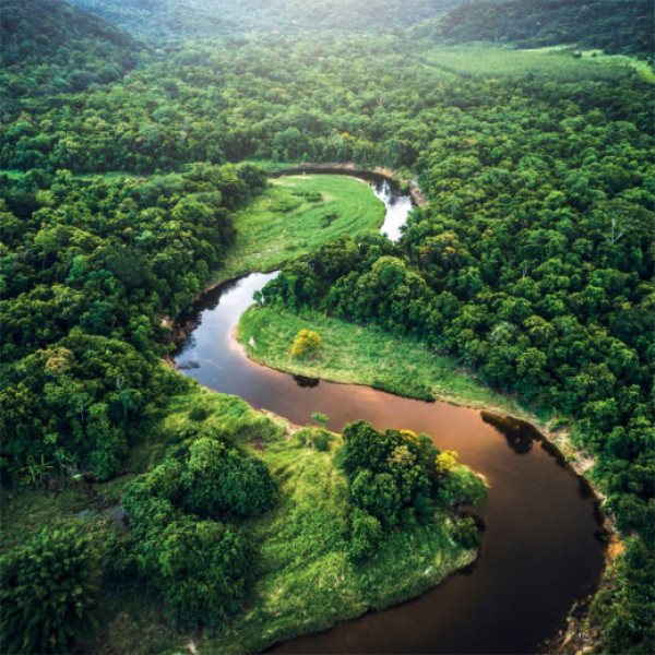 Zidni kalendar za 2023 - RAINFOREST 