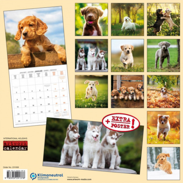 Zidni kalendar za 2023 - PUPPY DOGS 
