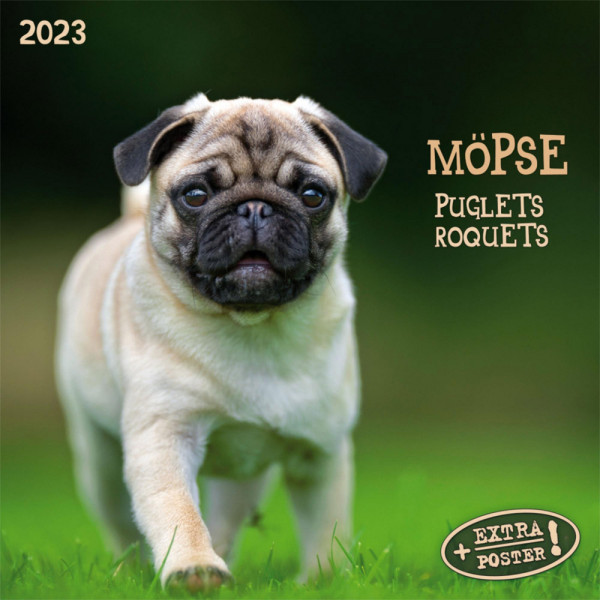 Zidni kalendar 2023 - MOPS 