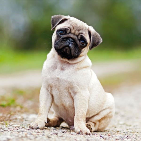 Zidni kalendar 2023 - MOPS 