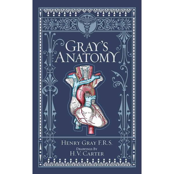 GRAYS ANATOMY 