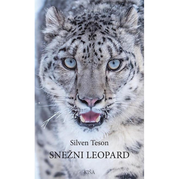 SNEŽNI LEOPARD 