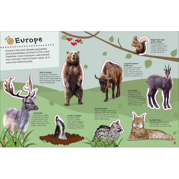 ULTIMATE STICKER BOOK ANIMALS 