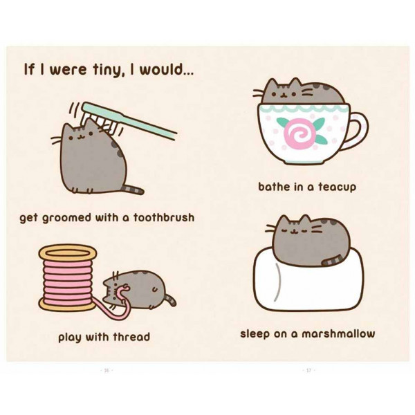 I AM PUSHEEN THE CAT 