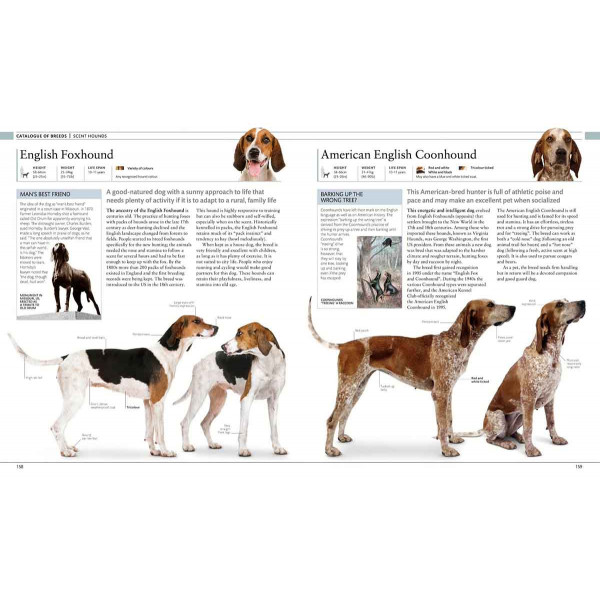 THE DOG ENCYCLOPEDIA 