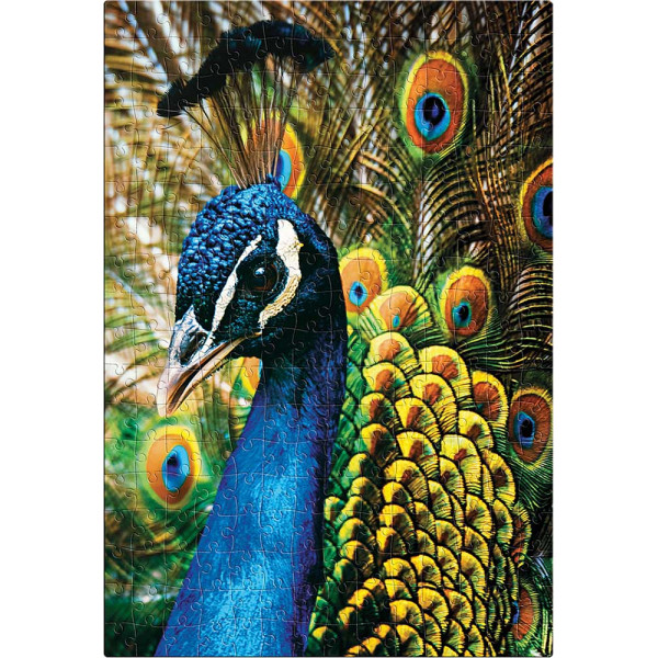 PUZZLE 250kom COLOURFUL NATURE PEACOCK 