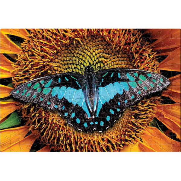 PUZZLE 250kom COLOURFUL NATURE BUTTERFLY 