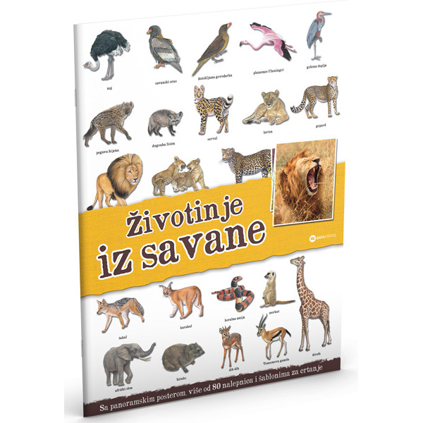 PANORAMA: ŽIVOTINJE IZ SAVANE 