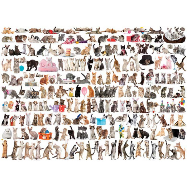 Puzzle 1000kom THE WORLD OF CATS 