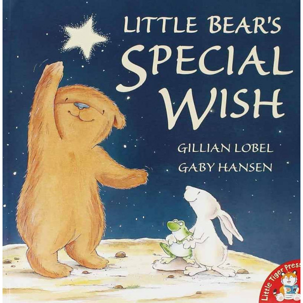 LITTLE BEAR S SPECIAL WISH 