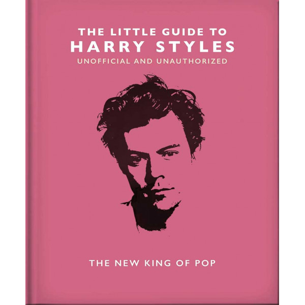 THE LITTLE GUIDE TO HARRY STYLES 