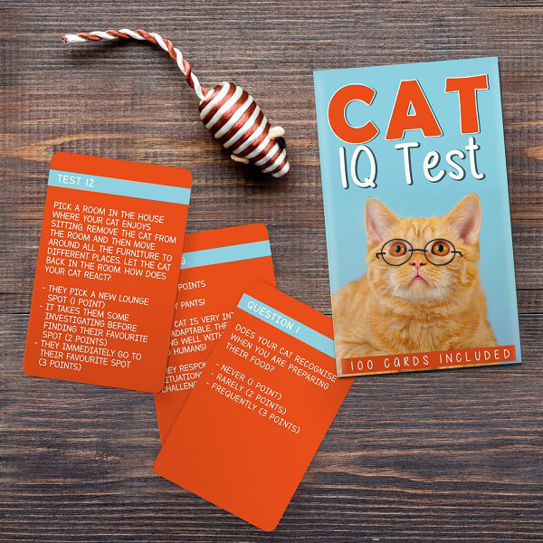 Društvena igra CAT IQ TEST 