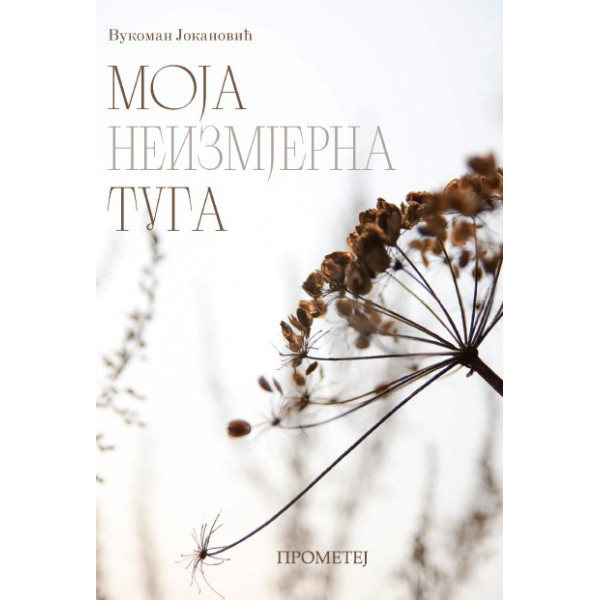 MOJA NEIZMJERNA TUGA 