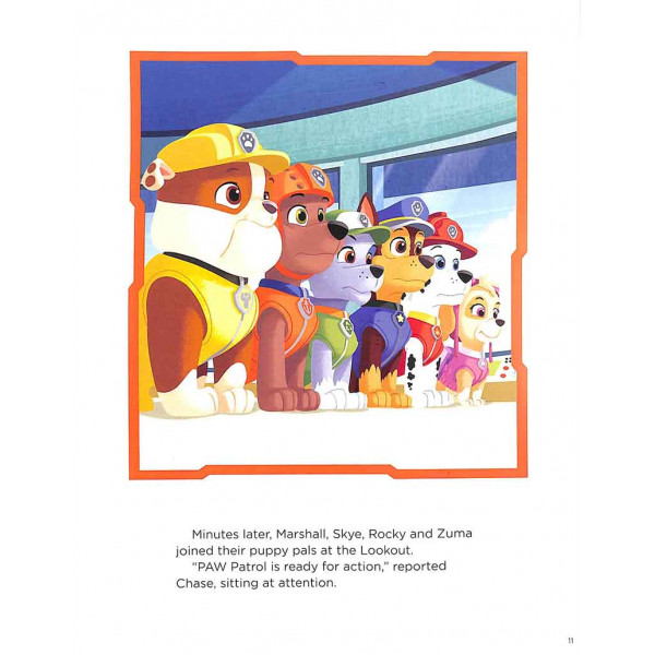 PAW PATROL TREASURY 