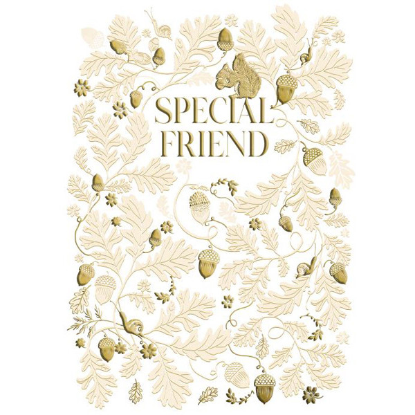 Rodjendanska čestitka SPECIAL FRIEND 