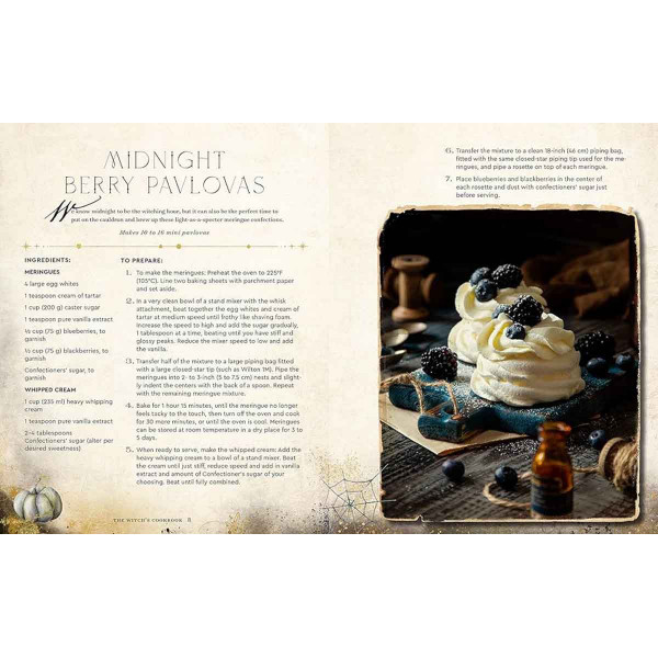 THE WITCH S COOKBOOK 