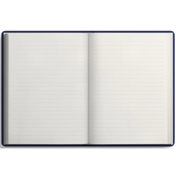 Notes MEMORY OF A GOLDFISH 