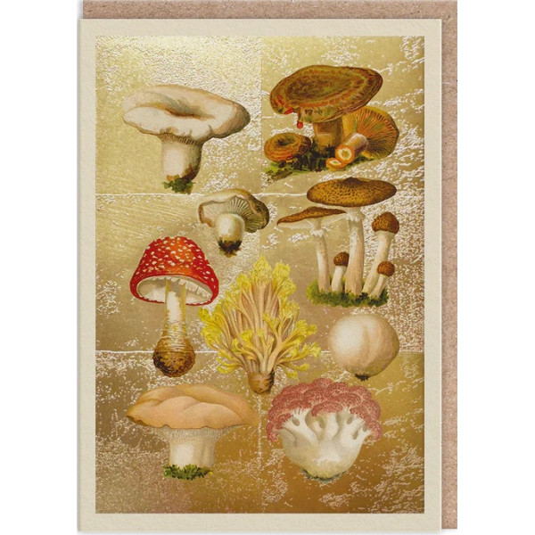 Čestitka FUNGI COLLECTION 