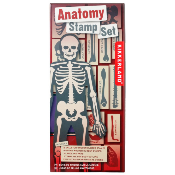 Set pečata ANATOMIJA 