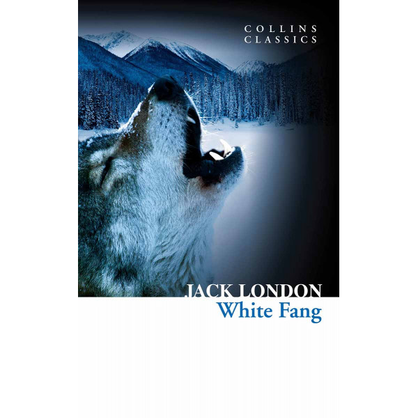 WHITE FANG 