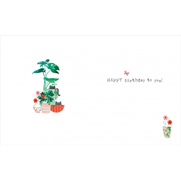 Rođendanska čestitka CAT POT PLANTS 