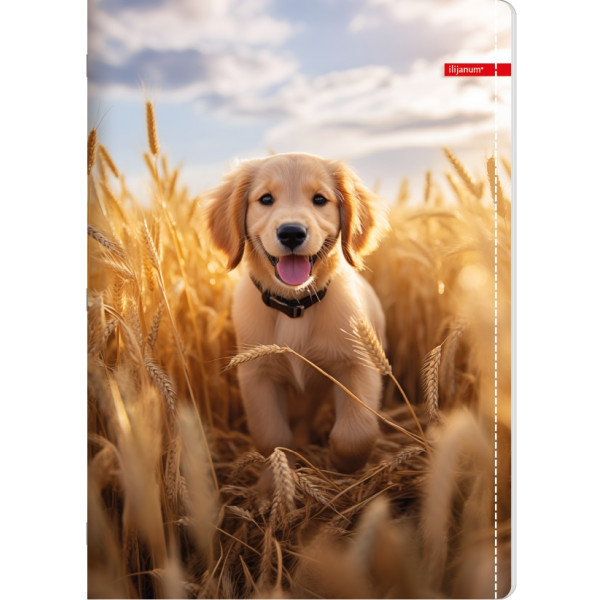 Sveska na kvadratiće A4 PETS 52 lista (Više vrsta) 