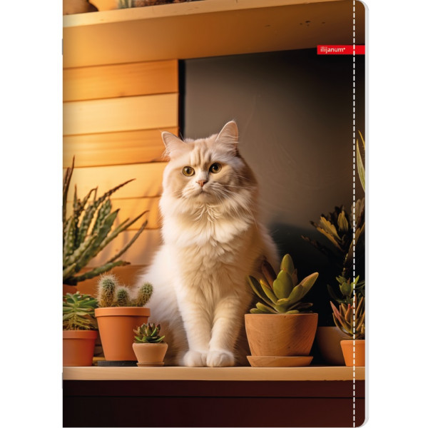 Sveska na kvadratiće A4 PETS 52 lista (Više vrsta) 