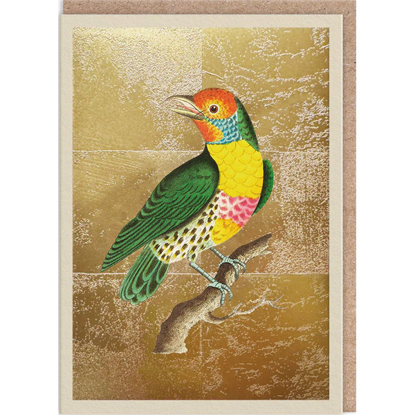 Čestitka LEMON-THROATED BARBET 