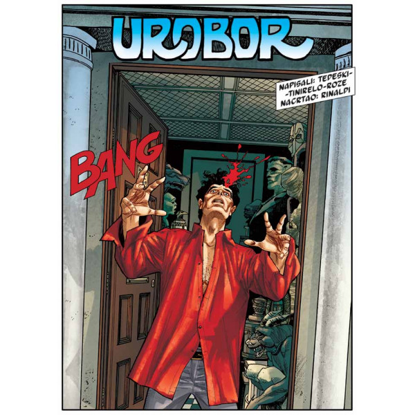 DILAN DOG Obojeni program 89 