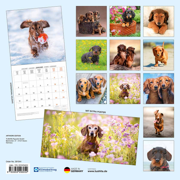 Zidni kalendar 2026 JAZAVIČAR 