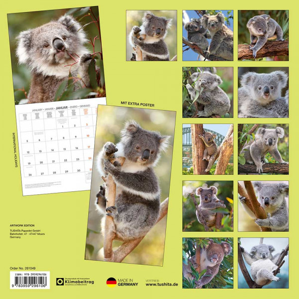 Zidni kalendar 2026 KOALA 