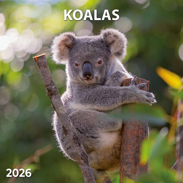 Zidni kalendar 2026 KOALA 