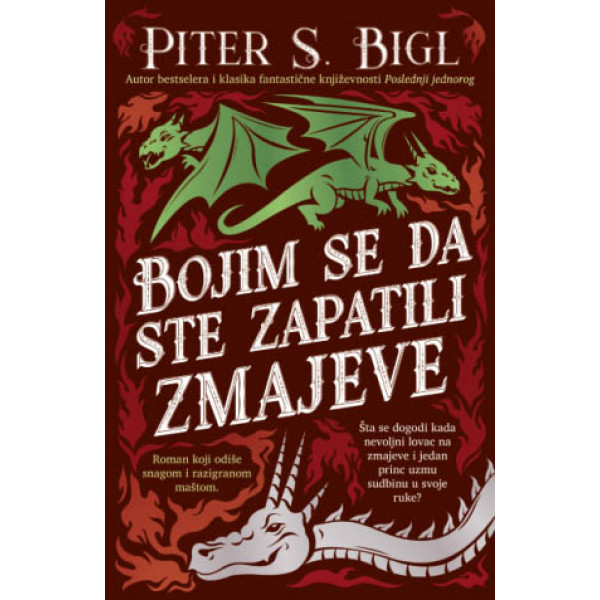 BOJIM SE DA STE ZAPATILI ZMAJEVE 