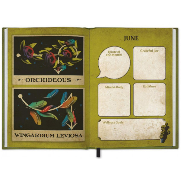 HARRY POTTER dnevnik A5 2026 