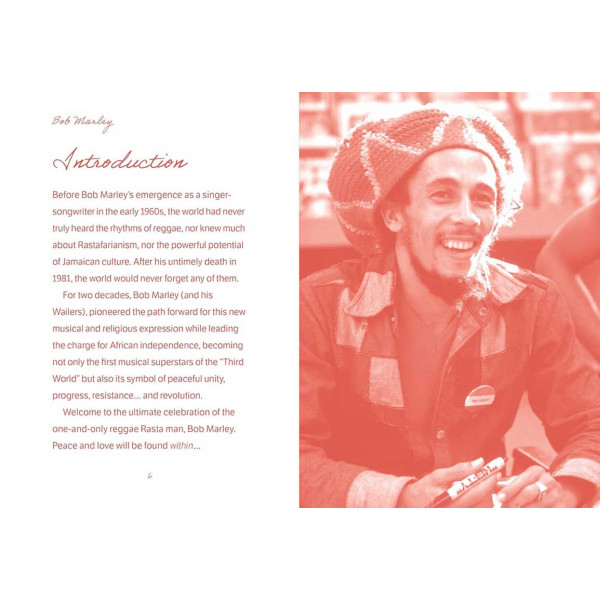 THE POCKET BOB MARLEY 