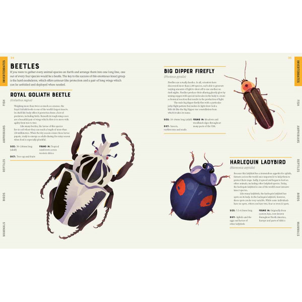 ENCYCLOPEDIA OF ANIMALS 