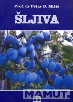 ŠLJIVA