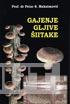 GAJENJE GLJIVE ŠITAKE 