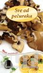 SVE OD PEČURAKA 