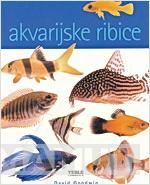 AKVARIJSKE RIBICE 