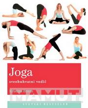 JOGA SVEOBUHVATNI VODIČ 