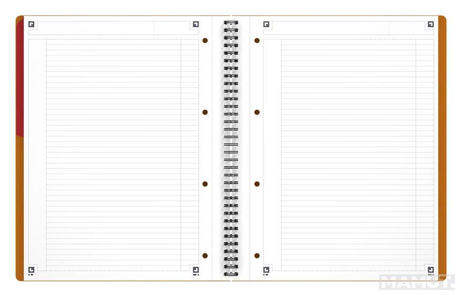 SVESKA OXFORD INTERNATIONAL ACTIVEBOOK A4+ LINIJE 
